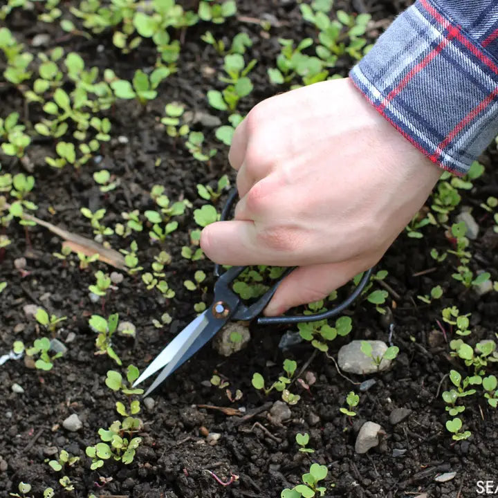 Seattle Seed Co. - Forged Steel Pruning Shears