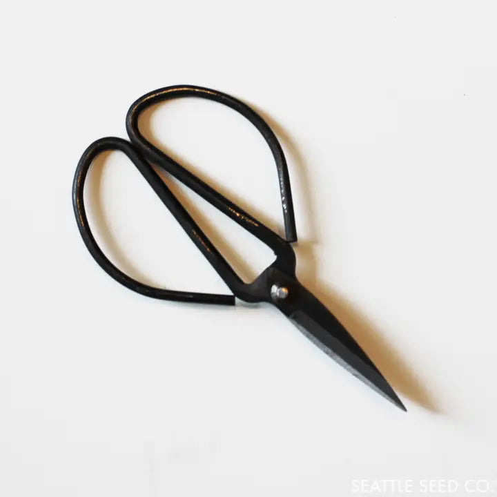 Seattle Seed Co. - Forged Steel Pruning Shears