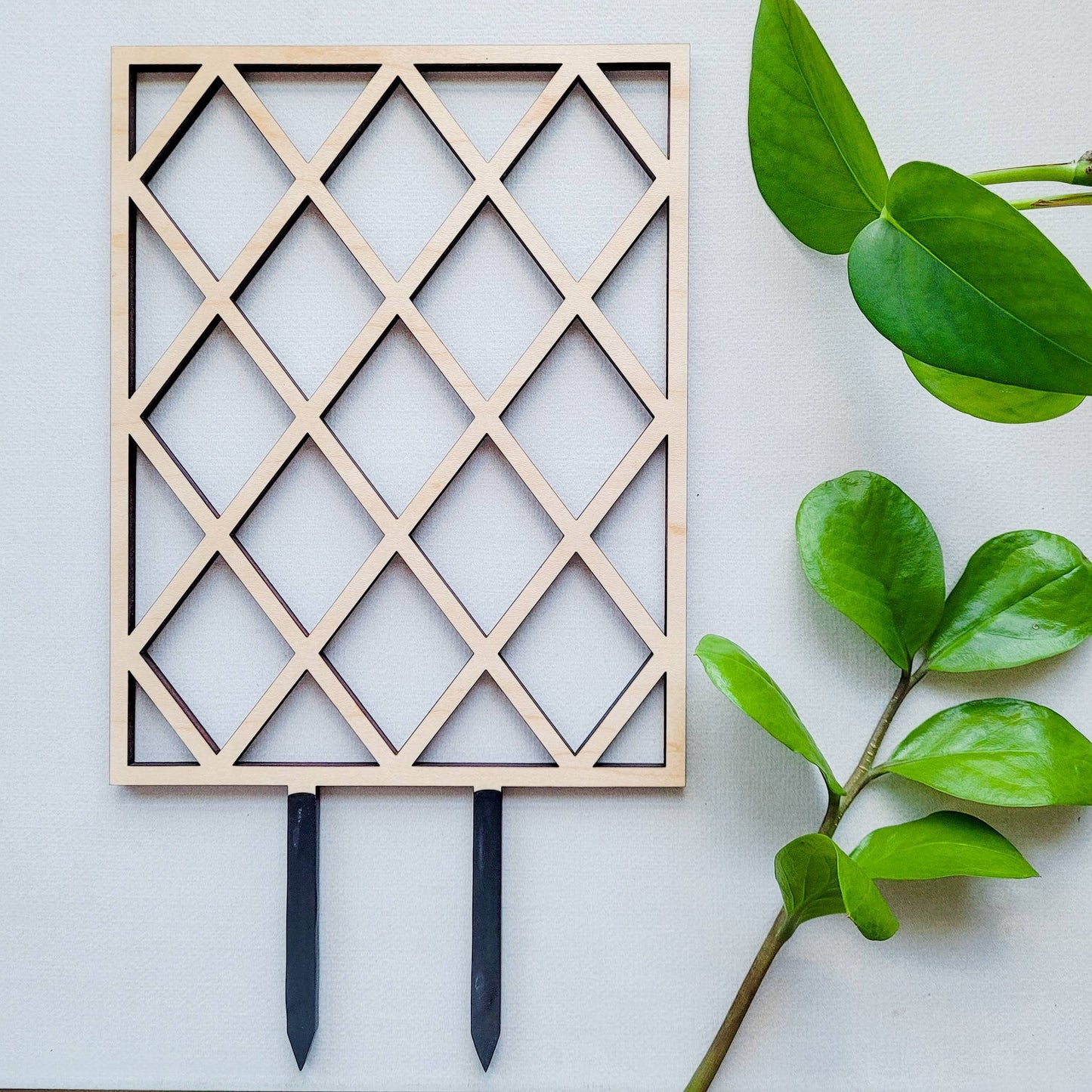 Leaf & Node - Lattice Indoor Wooden Plant Trellis - Standard 10.5"