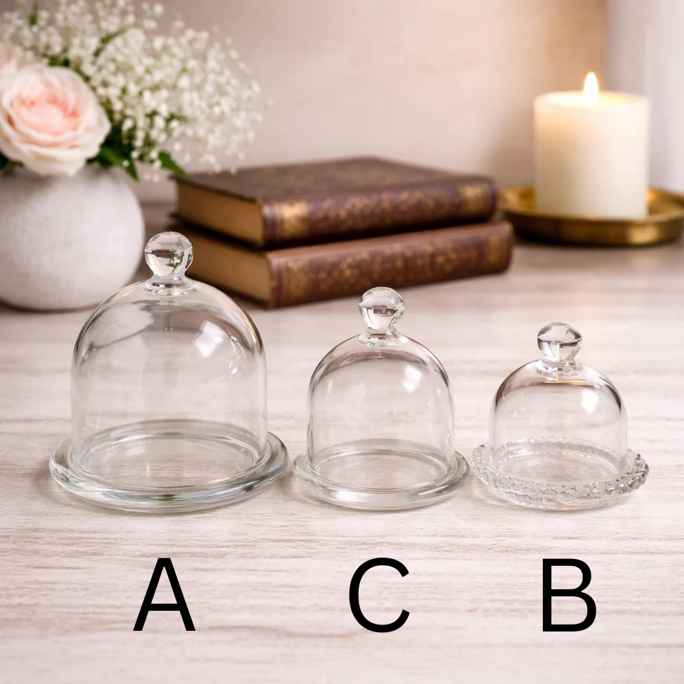 Glass Dome Display Cloche with Base
