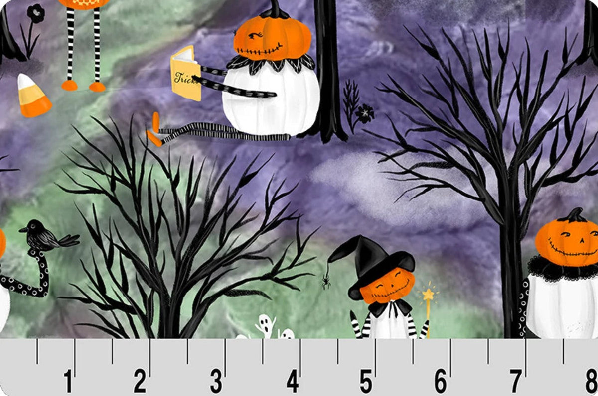 Halloween MINKY Pumpkin Heads Digital 58 Inch wide Price per yard