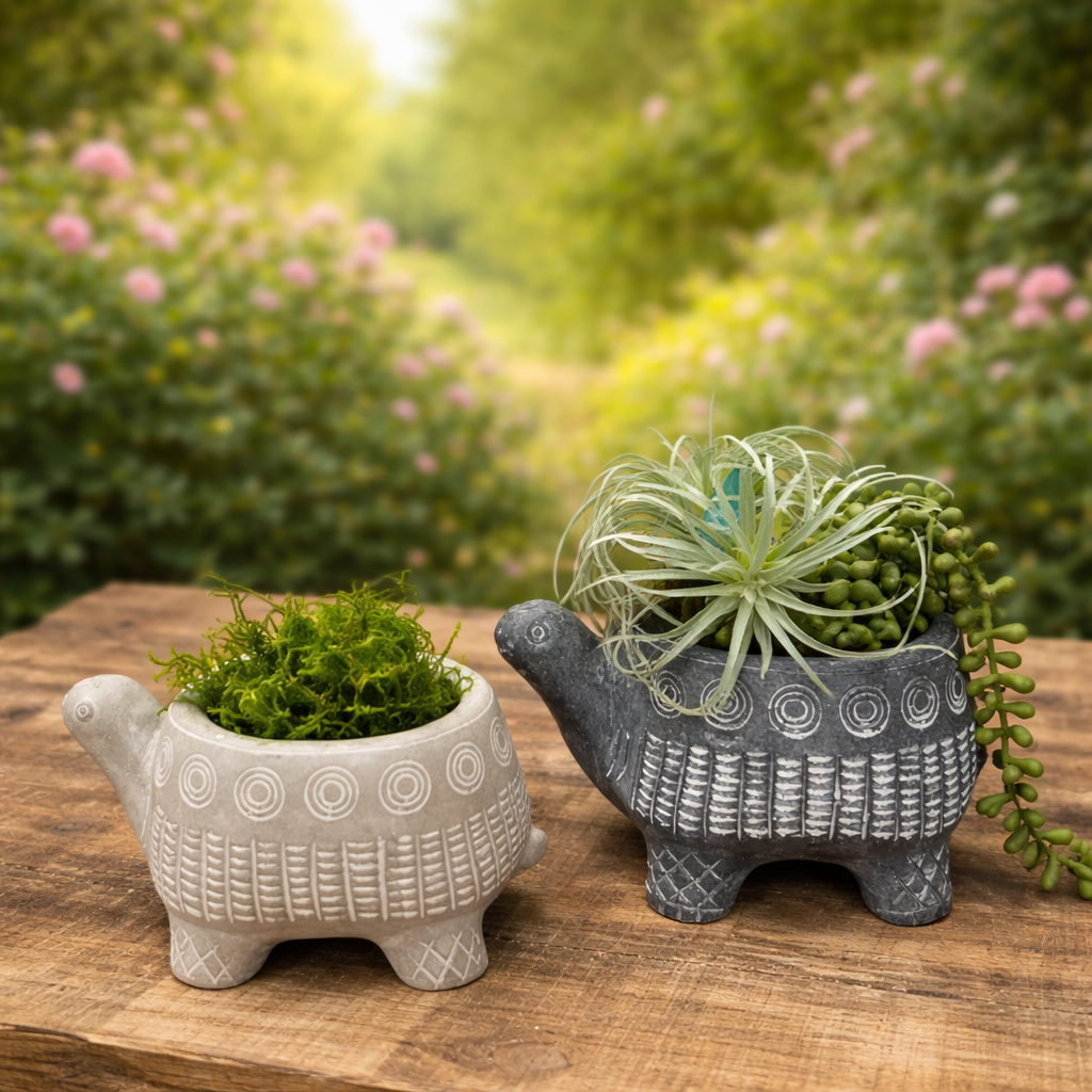 CEMENT TURTLE PLANTER IN BLACK