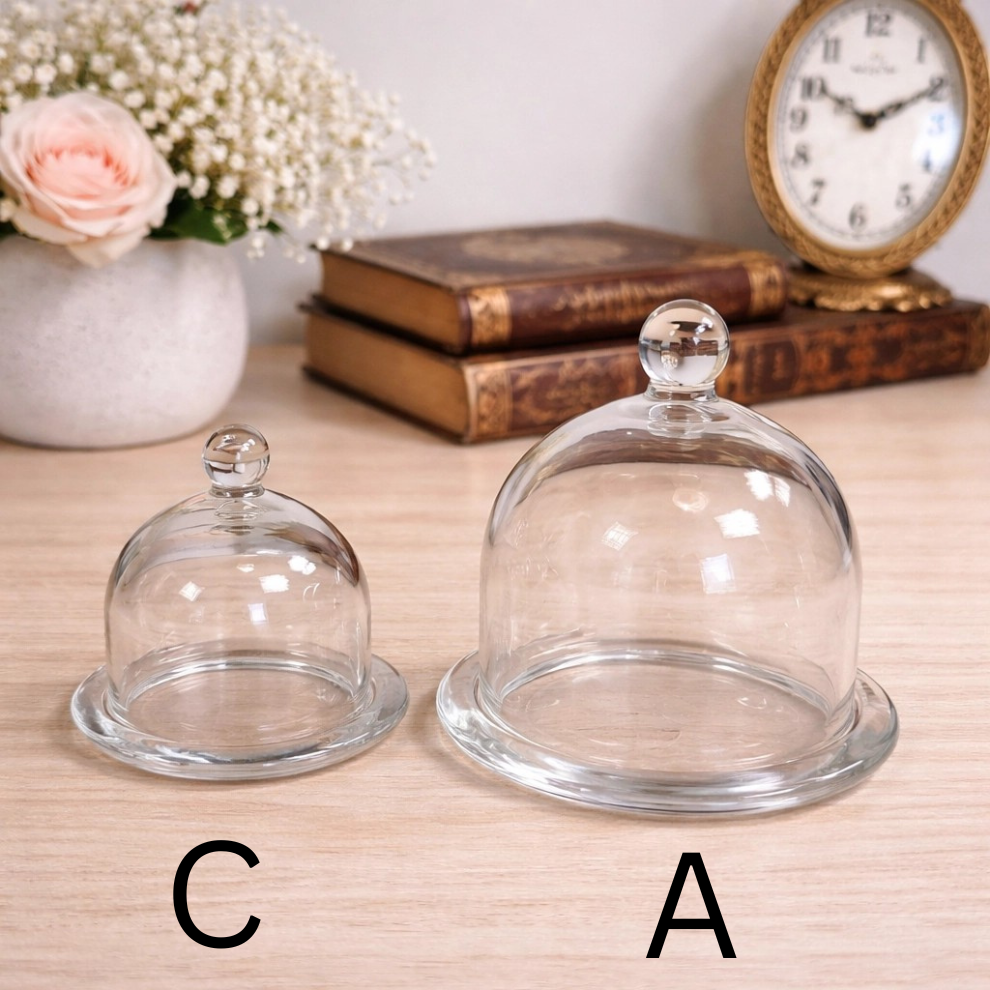 Glass Dome Display Cloche with Base