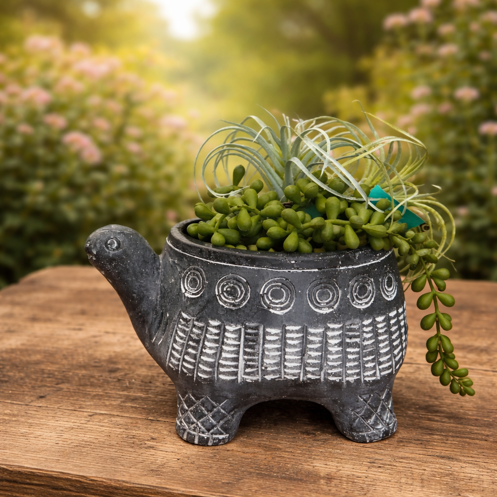 CEMENT TURTLE PLANTER IN BLACK