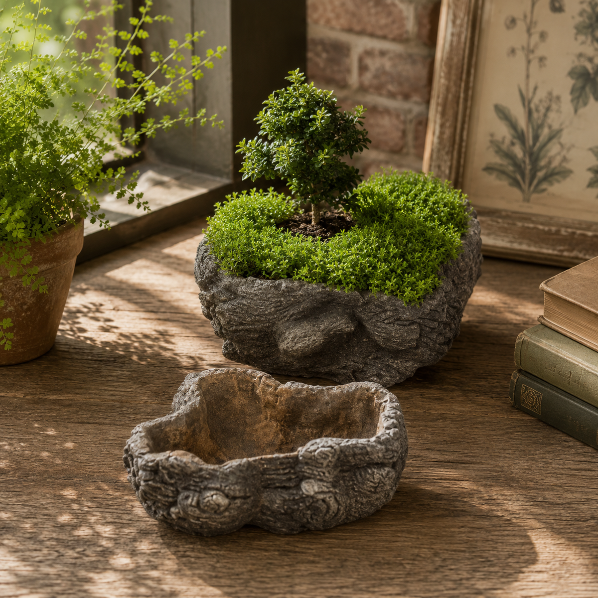 Cement Burled Bark Planter