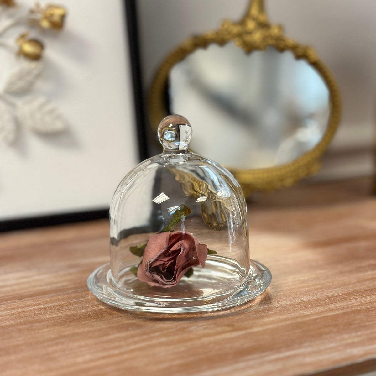 Glass Dome Display Cloche with Base